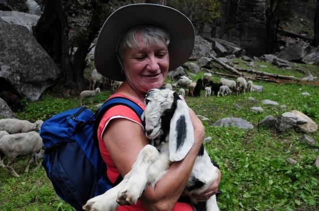 "Qu'il est doux ce petit agneau !" "Qu'il est doux ce petit agneau !"