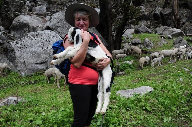 "Qu'il est doux ce petit agneau !"