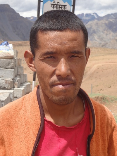 Un lama nous accueille Un lama nous accueille