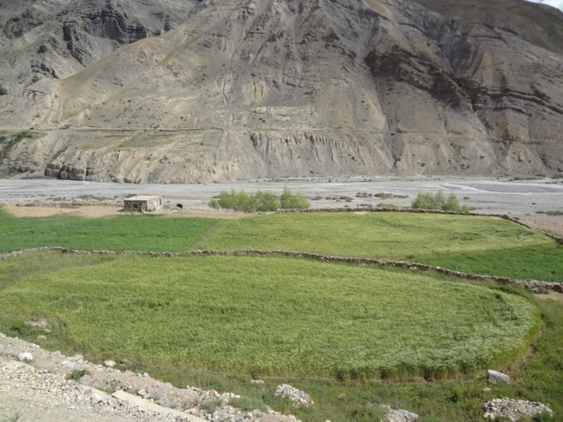 Champs à proximité du village. Les villageois ont de quoi faire des provisions pour l'hiver Champs à proximité du village. Les villageois ont de quoi faire des provisions pour l'hiver
