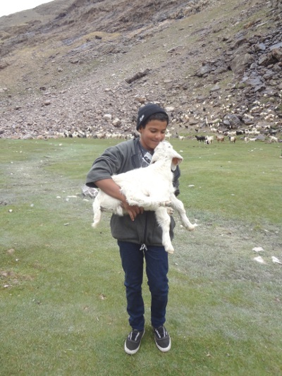 Petit moment câlin Petit moment câlin