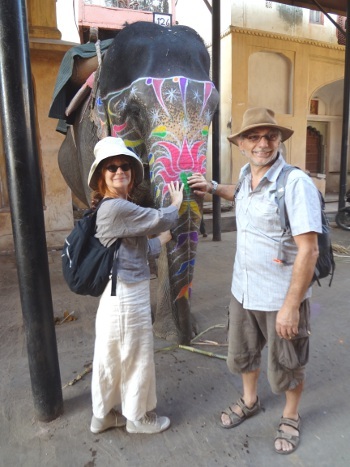 Les éléphants sont des animaux attachants. Nous avons pu entrer dans leur étable. Les éléphants sont des animaux attachants. Nous avons pu entrer dans leur étable.