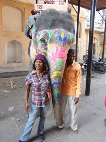 Les éléphants aiment les câlins.