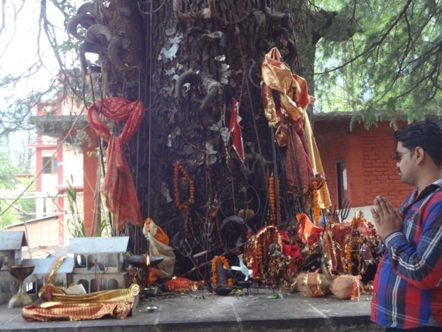 Petit autel au pied d'un arbre dédié à Ghatotkacha, le fils d'Hadimbâ. Celui qui est présenté dans le Mahâbhâratâ comme un valeureux guerrier, est censé protéger de nos jours les nouvelles constructions. D'où les maquettes de maisons déposés sur la plateforme