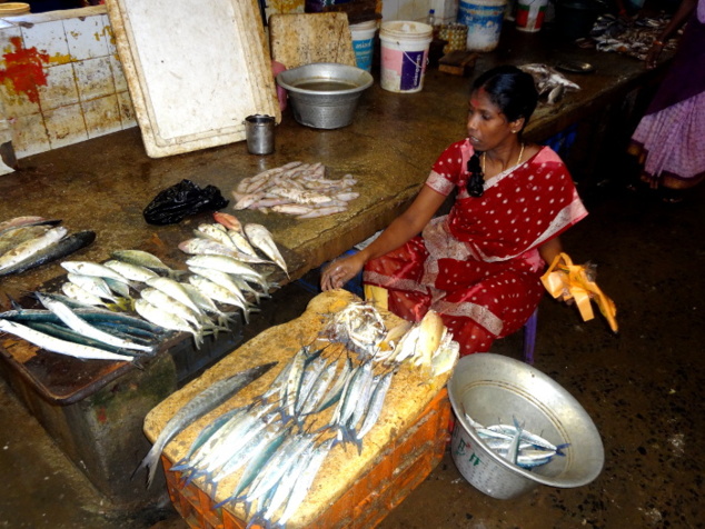 Poissonnière Poissonnière