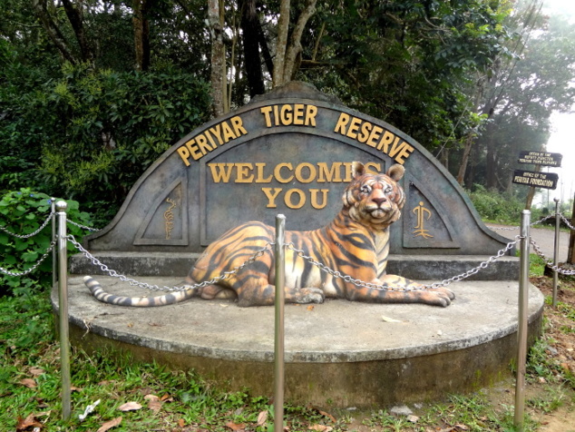Visite d'une réserve à Periyar dans laquelle il reste moins d'une dizaine de tigres. Visite d'une réserve à Periyar dans laquelle il reste moins d'une dizaine de tigres.