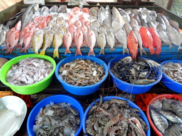 Le produit d'une pêche fructueuse. Le produit d'une pêche fructueuse.
