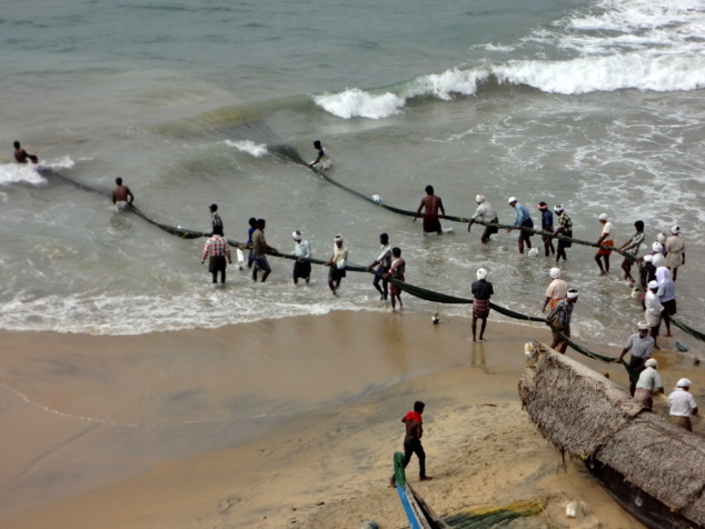 Après le spectacle, retour à la vraie vie. Ici des pêcheurs à Kovalam qui tirent un immense filet depuis la plage. Après le spectacle, retour à la vraie vie. Ici des pêcheurs à Kovalam qui tirent un immense filet depuis la plage.
