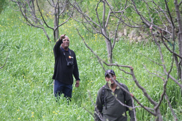 Rando au milieu des vergers Rando au milieu des vergers