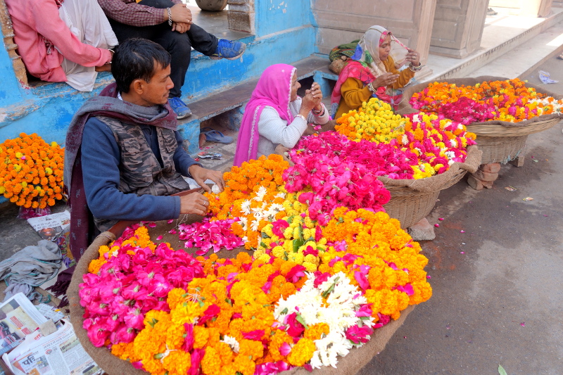 Ces fleurs servent à confectionner des guirlandes pour les dieux et serviront aussi d'offrandes pour honorer le lac