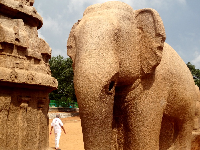 Un éléphant plus vrai que nature taillé dans la masse