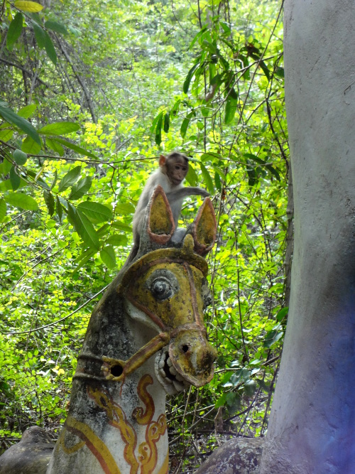 Un petit singe facétieux sur la monture d'Aiyanaar.
