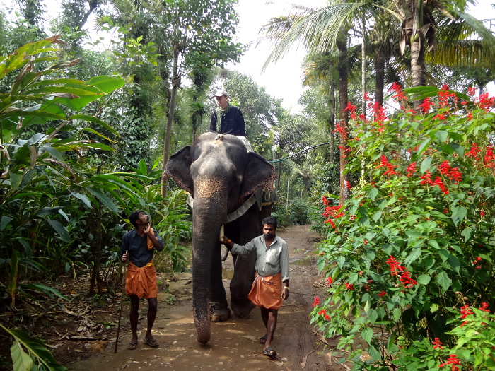 Au Kérala, j'ai commencé par passer mon permis de conduire ... un éléphant.