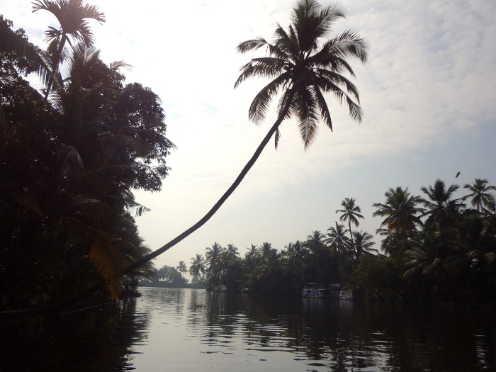 Nous découvrons les canaux qui s'étendent sur plusieurs centaines de kilomètres autour d'Allepey (Alappuzha)