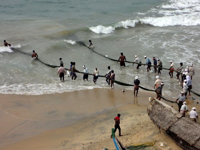 Après le spectacle, retour à la vraie vie. Ici des pêcheurs à Kovalam qui tirent un immense filet depuis la plage.