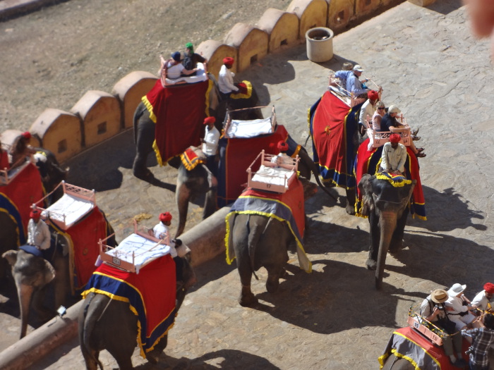 Les éléphants qui montent et descendent sans discontinuité forment une véritable noria pour acheminer au sommet le flot des touristes. Les éléphants qui montent et descendent sans discontinuité forment une véritable noria pour acheminer au sommet le flot des touristes.
