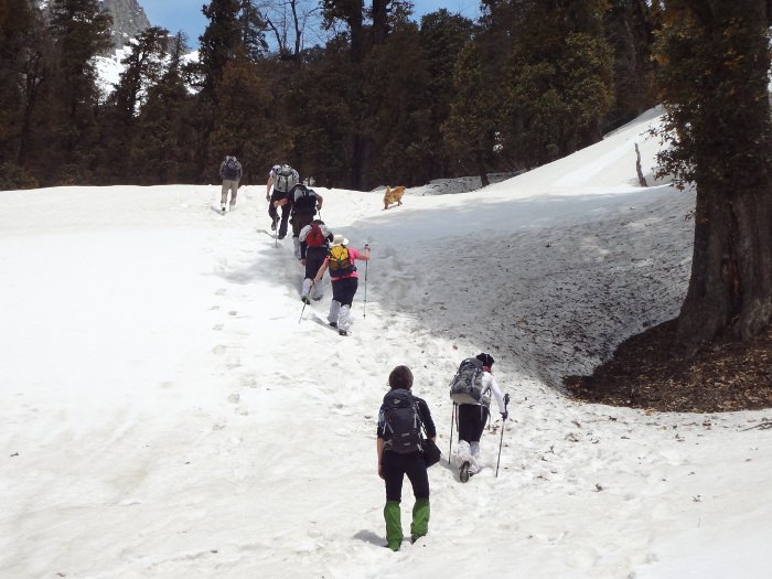 Randos au coeur de l'Himachal Pradesh  - avril 2014 - 1